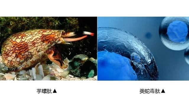 瀛ｆ硥鏂板搧榛戞澗闇插鑲芥姉鐨辩郴鍒楄兘鏈夊鎯婅壋锛? onerror=