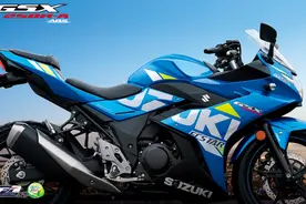 15个理由推荐入手GSX250R图片