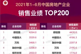 2021上半年中国房地产企业销售业绩TOP200图片