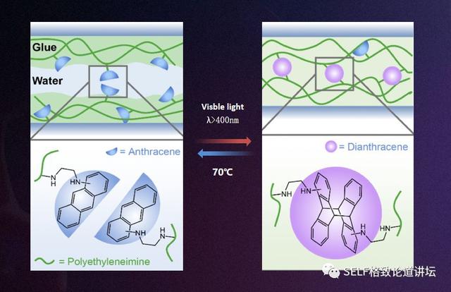为啥诺贝尔奖俗称炸药奖？原来一切都是因为有机化学……