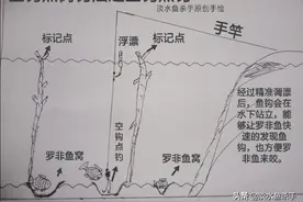 它是钓罗非鱼的“必杀技”，简单又实用。详解：“空钩点窝”钓法图片