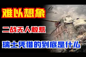 两次世界大战，瑞士为何都没被战火波及，它凭借的到底是什么？图片