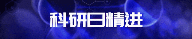 Western Blotting技术之电泳