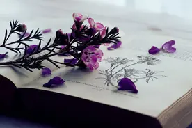 其实，女人变了心，表现得很明显图片