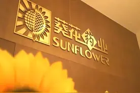 葵花药业前董事长“杀妻案”一审宣判，获刑11年！股市套现惹争议图片