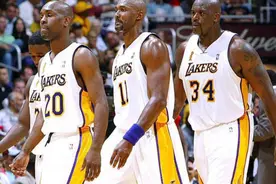 佩顿34岁马龙39岁，为何04湖人被称为F4？看他们加盟前表现就懂图片