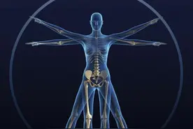 人体的5个部分，将来有可能会消失，它们没有一点用处图片