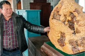 农民花五十元买个“树瘤”，雕刻上两只越鸟后，六十万出价他不卖图片