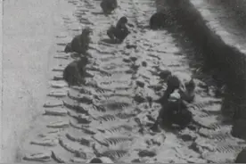 淄博十大古墓，每一个墓主都是震烁古今的人物，他们的归宿和命运是什么？图片