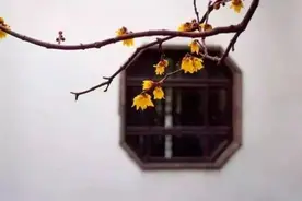 话不可随口，事不可随心，人不可随意（深度）图片