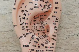 神奇的耳穴图片
