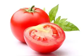 自传-农学专业毕业后，我的职业生涯连遇瓶颈（1）图片