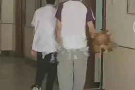 偶像学业遭质疑，养成一代比一代差？刘耀文入读中学仅体验生活？图片