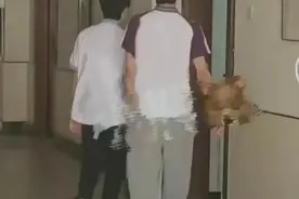 偶像学业遭质疑，养成一代比一代差？刘耀文入读中学仅体验生活？图片