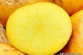 发芽的土豆到底能不能吃？原来我们一直都弄错了，看完后涨知识了图片