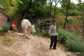 河南大哥住在大山之巅，儿子打工8年不回来，看他生活成啥样图片
