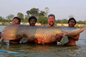 亚马逊河怪入侵美国，体型巨大，食人鱼咬不动，父亲分泌乳汁喂养图片