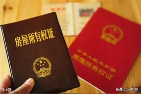 深圳无特产？图片