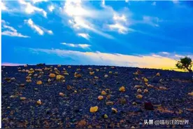 内蒙干涸湖底铺满“五彩石”，无人识货随意捡取，造成20亿损失图片