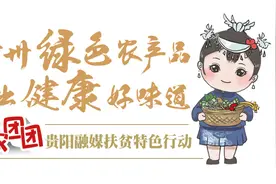 助农团团|“熊八妹”牌酸辣椒安排上了~图片