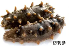 关于海参你了解多少？图片