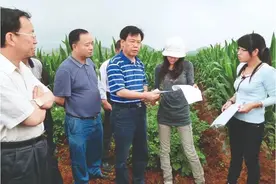 把论文写在祖国大地上——记朱有勇院士的科技扶贫路图片