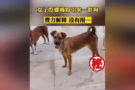 网友：我以为是皮肉之苦，没想到是生死大劫图片