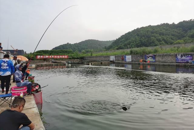 浠€涔堥挀楸兼渶鏈夋晥锛熸皑鍩洪吀鍜岀淮鐢熺礌b閽撻奔鏈夌敤鍚楋紵璇﹁В閽撻奔鐨勮鍖? onerror=