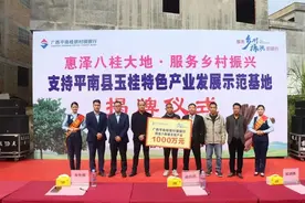 桂银村镇银行支持平南县玉桂特色产业发展示范基地揭牌图片
