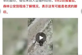 围观 | 桂林有老虎出没？桂林网警还原真相图片
