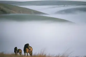 几种常见色彩的意义联想图片