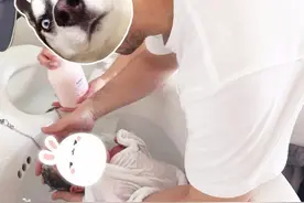 双胞胎越长大越不一样，父亲选择亲子鉴定，结果出来让人看清现实图片