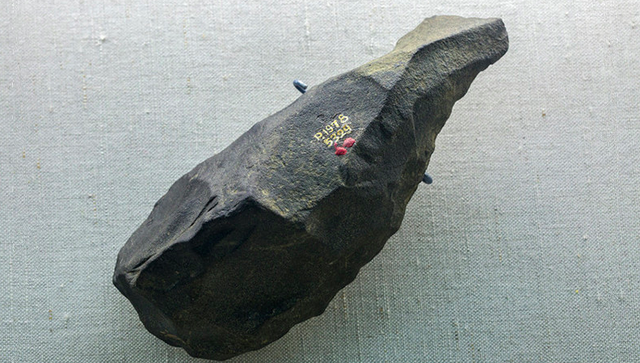 带刻纹的赤鹿角化石