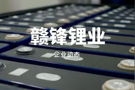 赣锋锂业是一家什么样的公司？图片
