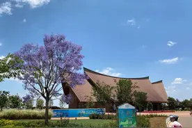 古滇精品湿地公园免费开放了图片