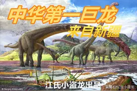 中国最大的恐龙来自新疆图片