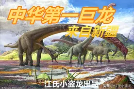 中国最大的恐龙来自新疆图片