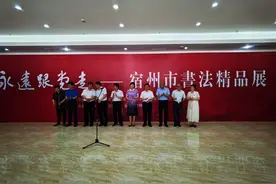 宿州市书法家协会举办书法精品展图片