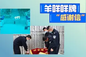 羊咩咩牌“感谢信”网友：可爱又好笑图片