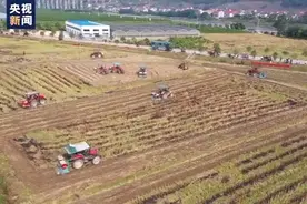 机械化播种助力 湖南怀化展开油菜大面积冬种作业图片