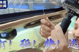 暴雨天被困车内如何逃生？四字口诀要记牢图片