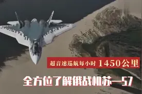 超音速巡航每小时1450公里 全方位了解俄第五代战机苏—57图片