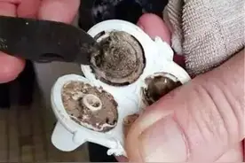 孩子的常用物品，脏得超出你想象，清理方法和细节你该清楚图片