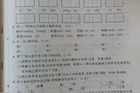 四年级下册语文第二单元检测卷两套图片