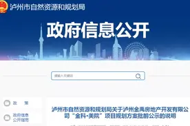 泸州公示主城区两大项目规划方案，涉及学校、住宅...图片