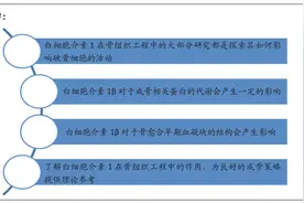 骨代谢过程中白细胞介素1的参与作用及调控机制图片