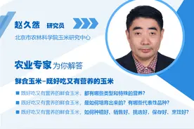 北京农业科技大讲堂：“鲜食玉米-既好吃又有营养的玉米”开讲了！图片