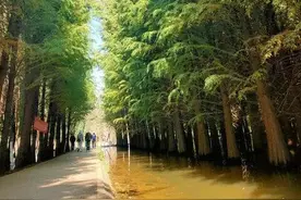 抓住假期的尾巴捞鱼河湿地公园走一趟看看图片