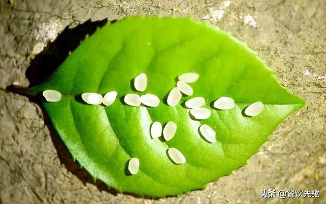 中国顶级大米排行榜！快看看有没有你家乡的