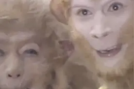 西游记：孙悟空武力服人！跟妖精不打不相识，成了酒肉好朋友视频封面